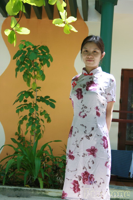 中国的小美女,我的LP